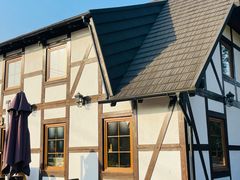 -金山农民画村-枫泾波兰倒置屋