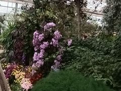 -沈阳植物园