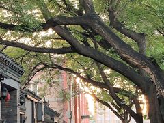 -丽江庭院·云南野生菌·海鲜火锅(鼓楼四合院店)
