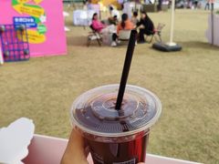 -广州天河体育中心-棒垒球场