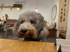 -沏点Trattoria意大利餐厅(新街口店)