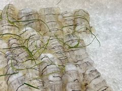 -金瑞轩大酒楼·顺德鱼生·粤菜海鲜(东江国际店)