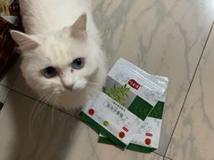 -瑞鹏宠物医院·微创内窥镜·骨外科·牙科(翠竹分院)