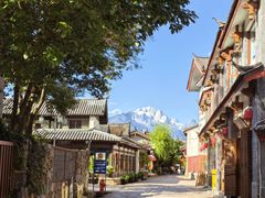 -菌自由丨野生菌火锅特色庭院餐厅(丽江古城店)