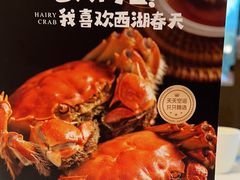 -西湖春天•老字号杭州菜(百汇店)