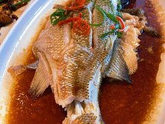 -青梅酒肆PLUS(长白仙岛北路店)