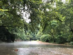 -水墨汀溪风景区