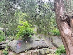 -泰山风景名胜区