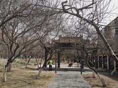 -桃花堤公园