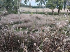 -嘉北郊野公园