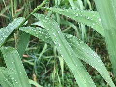 -太湖湖滨国家湿地公园-停车场