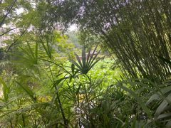 -龙头寺公园