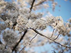 -龙美术馆(西岸馆)