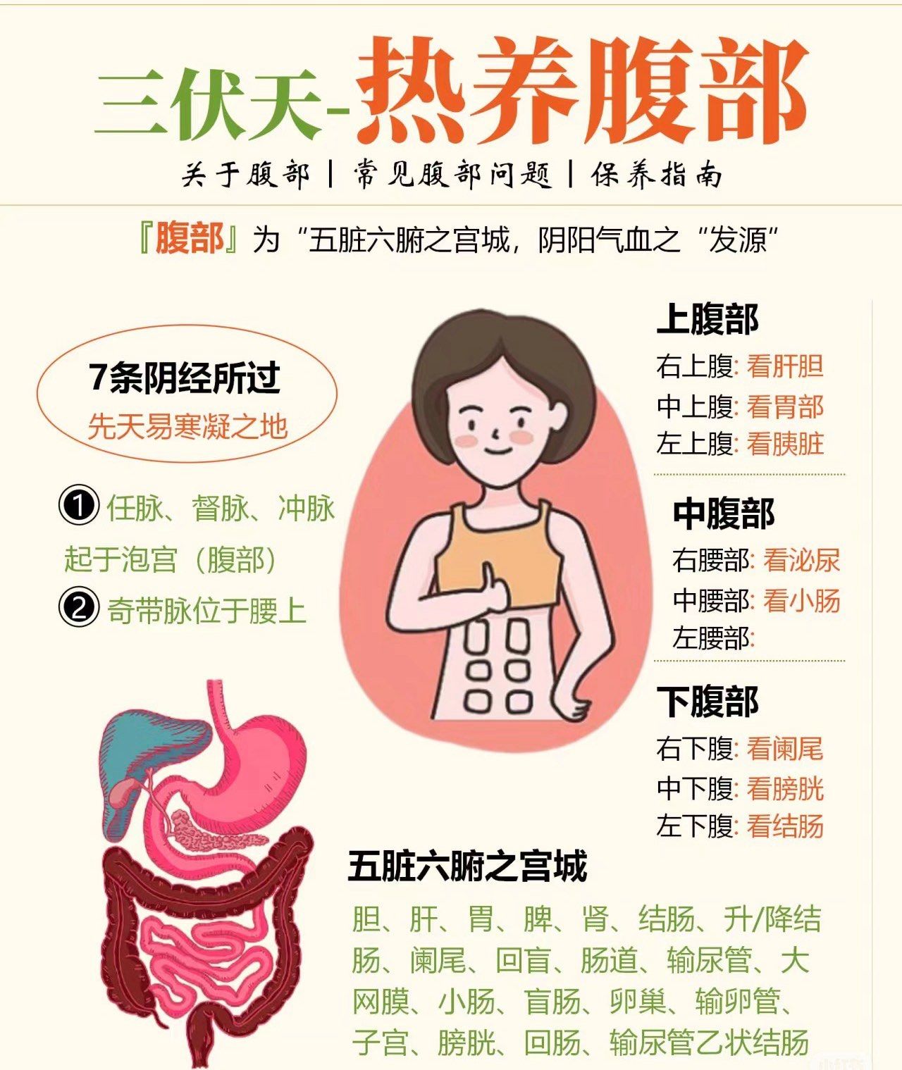 腹部的任脉督脉冲脉起于泡宫腹部奇带脉