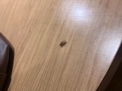 -维也纳国际酒店·江苏苏州火车站北广场店
