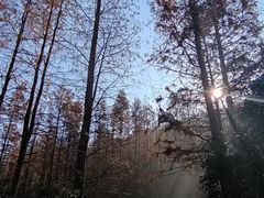 -宝界山林公园