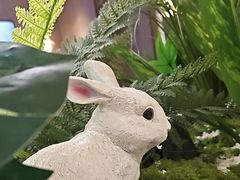 -纪林菜馆·博山菜老字号(八大局店)