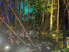 -峡谷浮石林景区