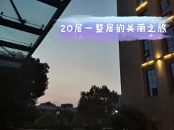 -处女座·MISS VIRGO·半永久纹眉野生眉