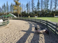 -前小桔亲子创意农场·草莓采摘·露营烧烤