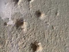 -全国青少年井冈山革命传统教育基地