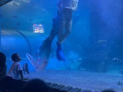 -左海海底世界