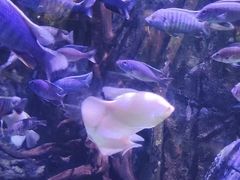 -华夏文旅西安度假区