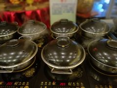 -田园小观园(武大店)