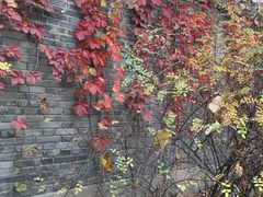 景点-什刹海-后海