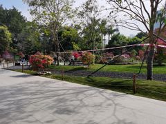 -莲花山公园