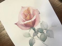 -六出私塾LiuChu•成人美术书法系统课程专业画室(熊婆婆的花园店)