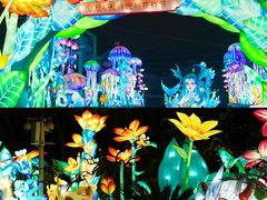 -海合安成都极地海洋公园