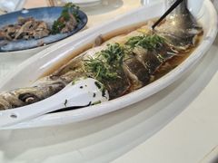 -张鸟园农家乐(张鸟园店)