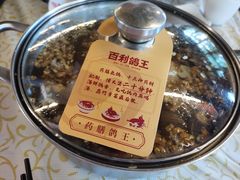 -百利鸽王(紫薇路店)