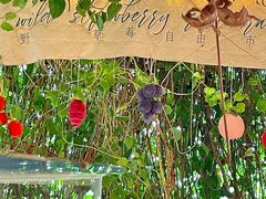 -野草莓自由市场