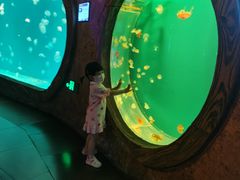 -华夏文旅西安度假区