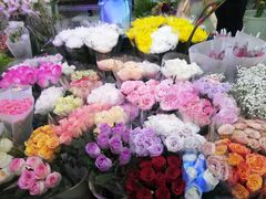 -花鸟鱼虫鲜花绿植市场(玉泉路店)