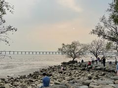 -宝安西湾红树林湿地公园