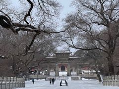 -北陵公园