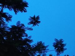 -野妹经典火锅(江夏中百店)