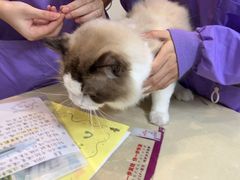 -瑞派康怡24h宠物医院·犬猫医疗中心·微创绝育(瑞景分院)