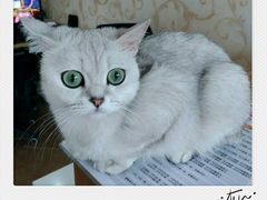 -青春加萌照相馆