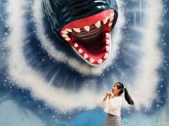 -海合安成都极地海洋公园