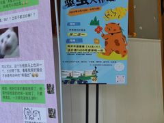 -关爱宠物医院·猫科中心·消化科(滨湖万达分院)