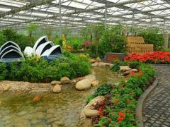 -南宫五洲植物乐园