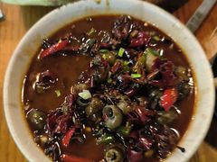 -汉森熊啤酒屋(双塘东路店)