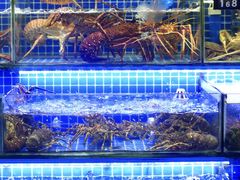 -大东海海鲜酒楼(渔人码头总店)