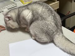 -贝来恩24H动物医院·转诊中心(稻香路店)