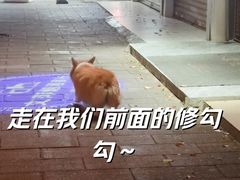 -郴州西站