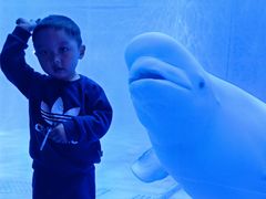 -多彩贵州城极地海洋世界